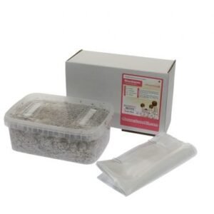 Buy Grow Kit Mazatapec XP By FreshMushrooms