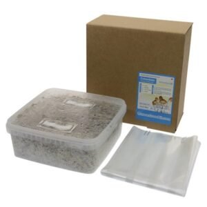Buy Mushroom Grow Kit Colombia XP