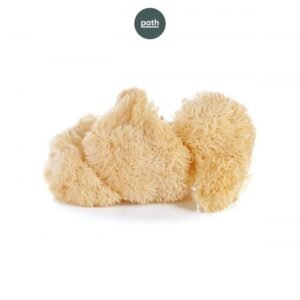 Lion's Mane - Magic Mushroom Capsules