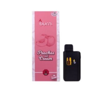 Burn 3mL Disposable Vapes – Peaches and Cream THC Distillate