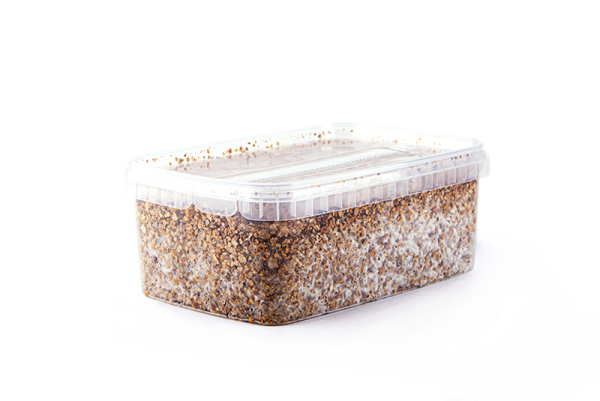 Buy Mondo® Grow Kit PES Amazon