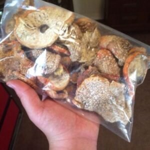 Buy Amanita Muscaria