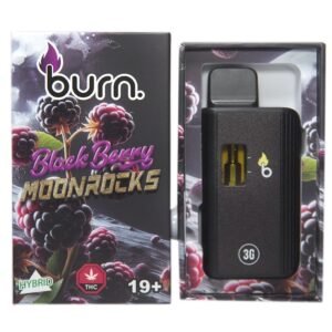 Burn 3mL Disposable Vapes – Blackberry Moonrocks THC Distillate