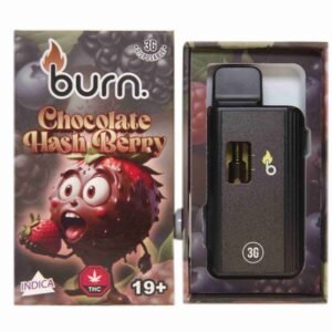 Burn 3mL Disposable Vapes – Chocolate Hash Berry THC Distillate