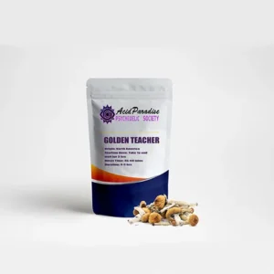 Golden Teacher Mushroom