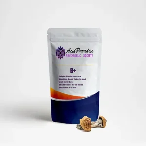 Psilocybe Cubensis B+