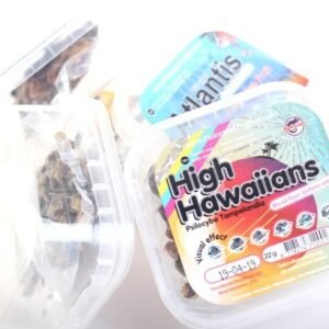 Buy Magic Truffles High Hawaiians