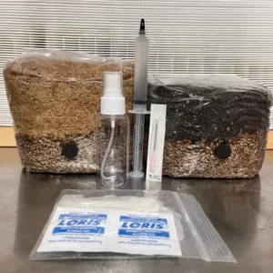 Buy Mushroom Substrate kit XL
