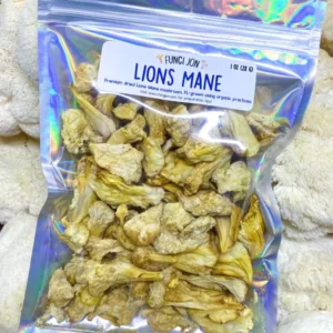Buy Lions Mane Mushroom