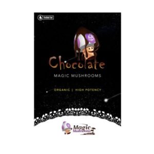 Buy One Up Magic Mushroom Chocolates