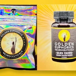 Golden Teacher Sample Pack - 10caps