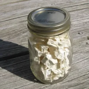 Buy Puffball Mushroom