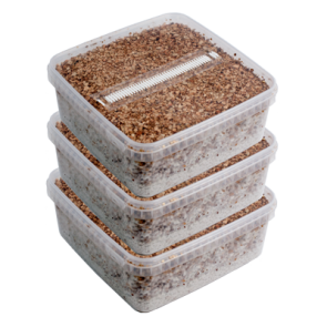 Buy Magic Mushroom Grow Kits Combi Deal – 3 Pack